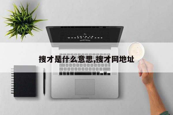搜才是什么意思,搜才网地址